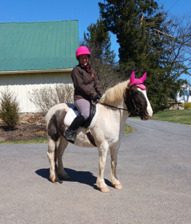 HorseID: 2303512 Dasher - PhotoID: 1087093