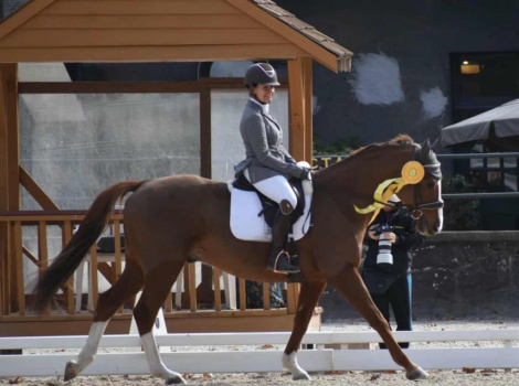 HorseID: 2303560 Tullamore Dew - PhotoID: 1086174