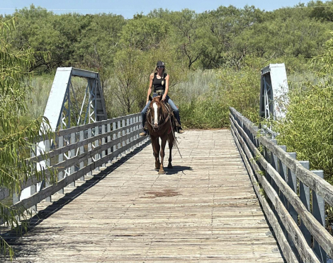 HorseID: 2303593 Wimpys Royal Chic HHC - PhotoID: 1086263