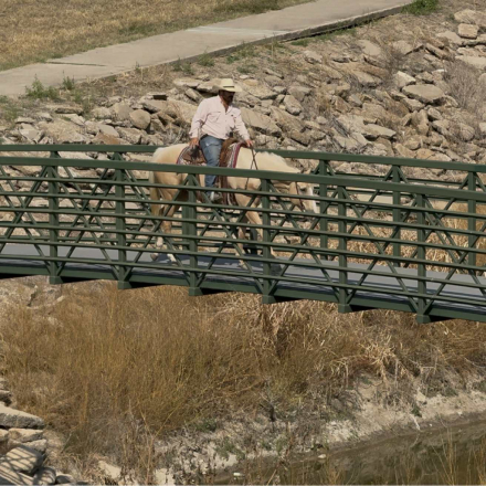 HorseID: 2303596 Guys New Image - PhotoID: 1086243