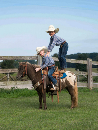 HorseID: 2303599 Spots KR - PhotoID: 1086257