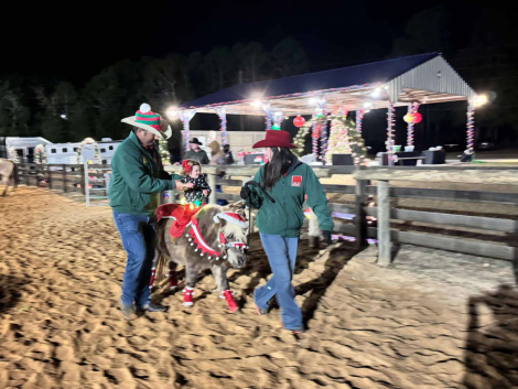 HorseID: 2303599 Spots KR - PhotoID: 1086259