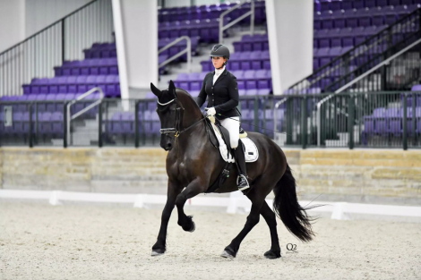 HorseID: 2303635 Gerbrandt Fan Stal 'T Venboer - PhotoID: 1086292