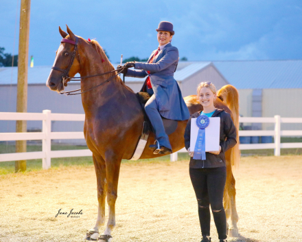 HorseID: 2303676 WALTERWAY'S NEVER STOP DREAMIN' - PhotoID: 1086354