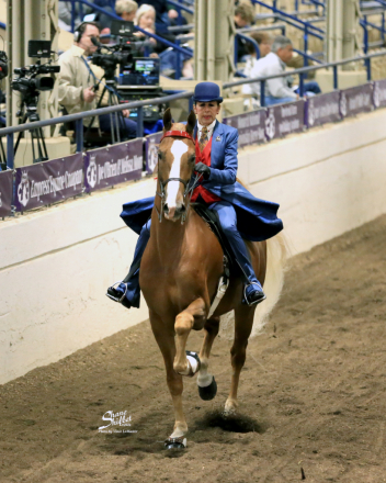 HorseID: 2303676 WALTERWAY'S NEVER STOP DREAMIN' - PhotoID: 1086355