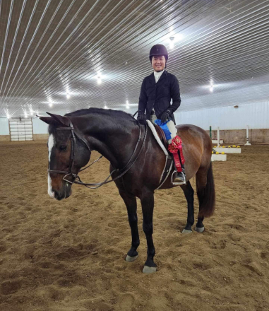 HorseID: 2303685 Amore Mio - PhotoID: 1086359