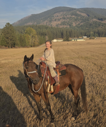 HorseID: 2303691 Whiskey - PhotoID: 1086366