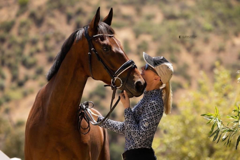 HorseID: 2303692 Spencer - PhotoID: 1086371