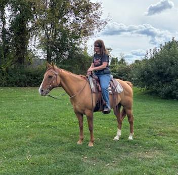 HorseID: 2303700 Copper - PhotoID: 1086404