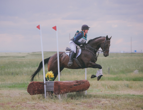 HorseID: 2303709 One Step Away - PhotoID: 1086420