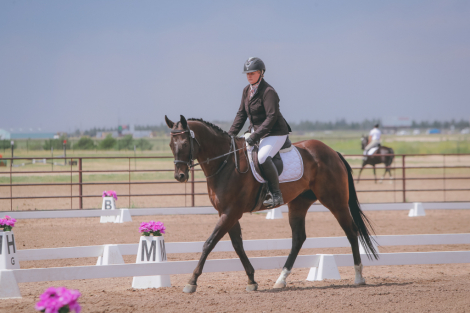 HorseID: 2303709 One Step Away - PhotoID: 1086421