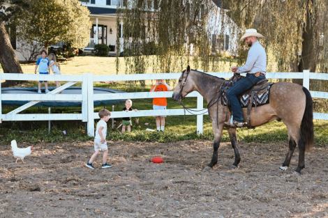 HorseID: 2303723 SanJACSMARTLENA REX - PhotoID: 1086446