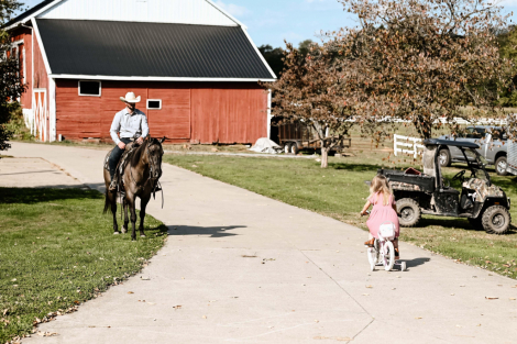 HorseID: 2303725 Watch Video! Grulla Gelding - PhotoID: 1086451