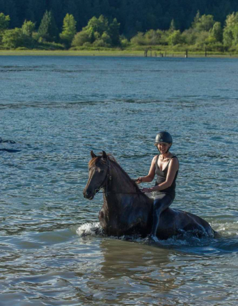 HorseID: 2303727 Sofillia’s Ruby Slipper - PhotoID: 1086459