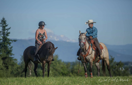 HorseID: 2303727 Sofillia’s Ruby Slipper - PhotoID: 1086460