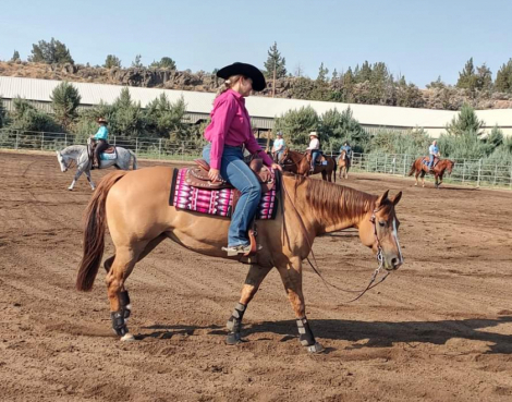 HorseID: 2303730 CHICALYNDA - PhotoID: 1086467