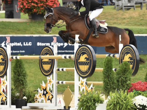 HorseID: 2303732 Donner - PhotoID: 1086469