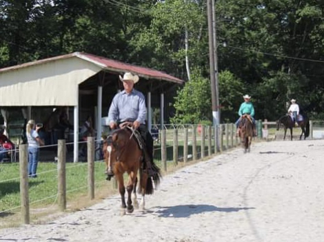 HorseID: 2303751 Absolutly Justified - PhotoID: 1086481