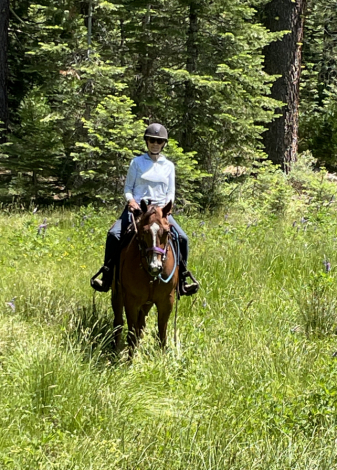 HorseID: 2303754 Lenny Sparks - PhotoID: 1086488