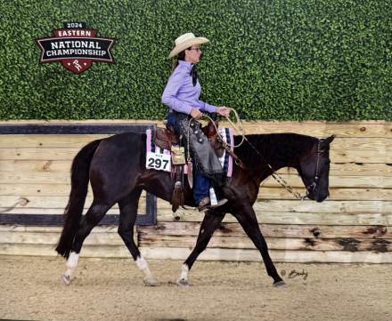 HorseID: 2303760 Chilled Cocktail-WimpyNeedsACocktail - PhotoID: 1086498