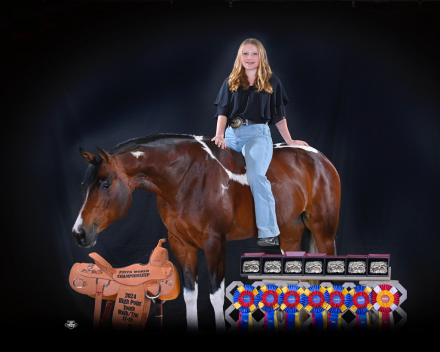 HorseID: 2303765 Never Go Out Of Style - PhotoID: 1086505