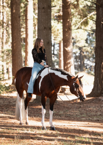 HorseID: 2303765 Never Go Out Of Style - PhotoID: 1086507