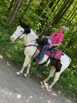 HorseID: 2303766 SACKS IMA SIR DEUCE - PhotoID: 1086901