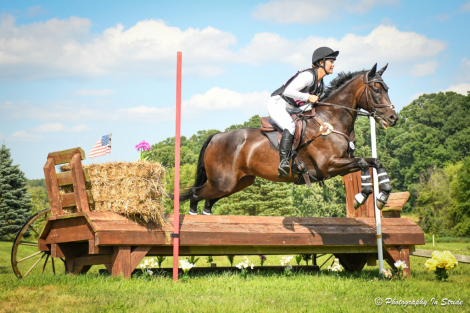 HorseID: 2303772 Cowboy Classic - PhotoID: 1086573