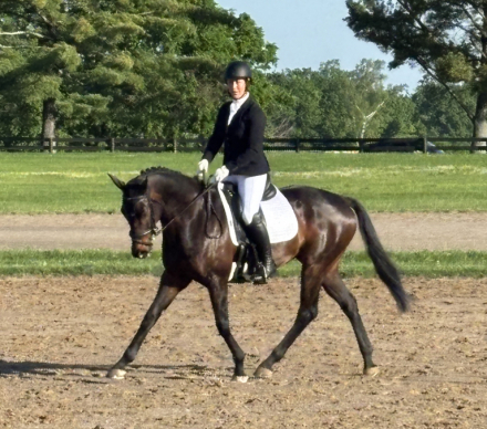 HorseID: 2303772 Cowboy Classic - PhotoID: 1086574