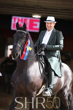 HorseID: 2303776 Idool fan Dijmaniaste - PhotoID: 1086526