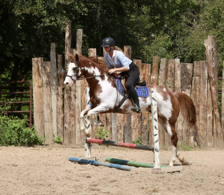 HorseID: 2303788 FoxyVerse - PhotoID: 1086542