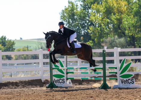 HorseID: 2303799 TF LUMINESCENCE - PhotoID: 1086965