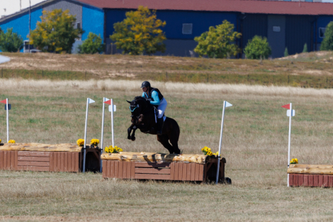 HorseID: 2303799 TF LUMINESCENCE - PhotoID: 1086966