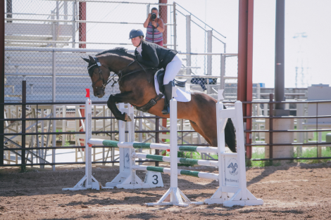 HorseID: 2303799 TF LUMINESCENCE - PhotoID: 1086967