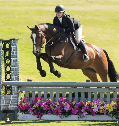 HorseID: 2303801 Valentino - PhotoID: 1086555