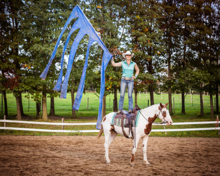 HorseID: 2303806 Fancy and Docile, Hypoallergenic Bashkir Curly - PhotoID: 1086975