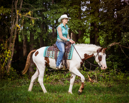 HorseID: 2303806 Fancy and Docile, Hypoallergenic Bashkir Curly - PhotoID: 1086978