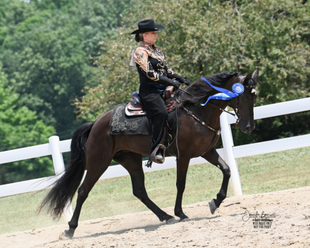 HorseID: 2303812 Roses All Around - PhotoID: 1086572