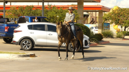 HorseID: 2303818 ELS John Chisum - PhotoID: 1086582