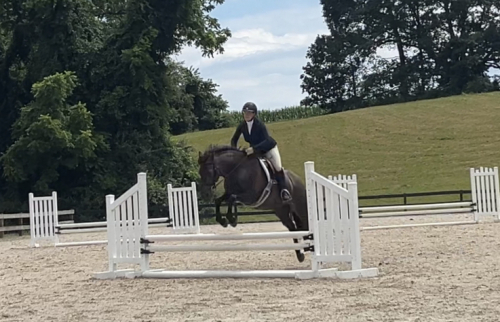 HorseID: 2303821 Only When in Roan - PhotoID: 1086590