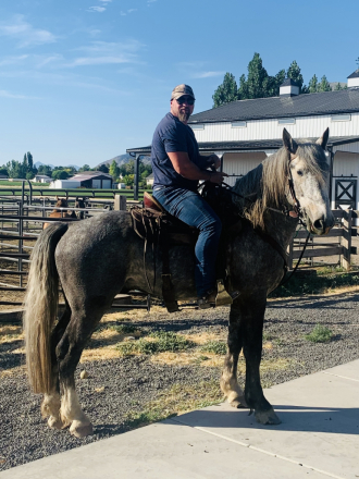 HorseID: 2303826 Manu Fortis Mr Blue Sky - PhotoID: 1087190