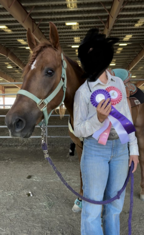 HorseID: 2303872 Whiskey - PhotoID: 1086670