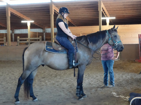 HorseID: 2303893 D. W. Chump Change - PhotoID: 1086697