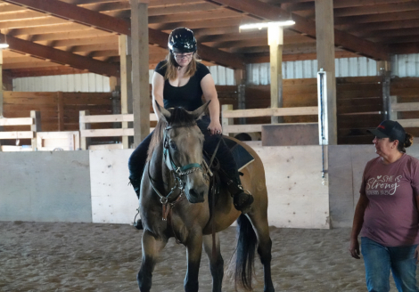 HorseID: 2303893 D. W. Chump Change - PhotoID: 1086698