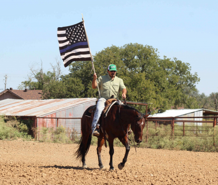 HorseID: 2303901 Abracadabra Star - PhotoID: 1086772