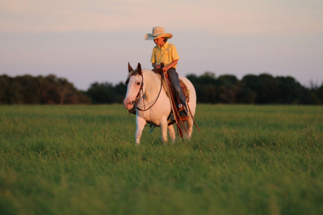 HorseID: 2303912 Patty Cake TS - PhotoID: 1086796