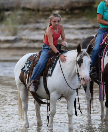 HorseID: 2303912 Patty Cake TS - PhotoID: 1086797