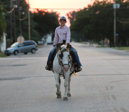 HorseID: 2303912 Patty Cake TS - PhotoID: 1086798