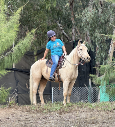 HorseID: 2303915 Pale Rider’s Rambling Jack - PhotoID: 1086713