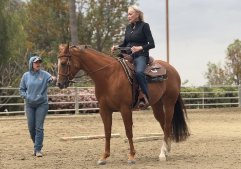 HorseID: 2303949 Savanna - PhotoID: 1086755